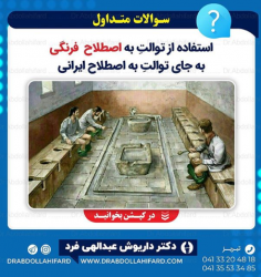 استفاده از توالت فرنگی (به اصطلاح فرنگی) به جای توالت ایرانی (به اصطلاح ایرانی) «چرا؟» 