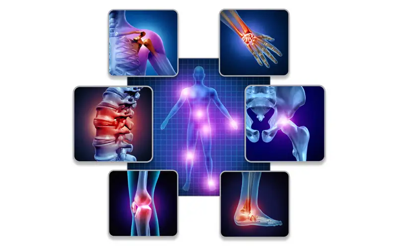 ortho.webp