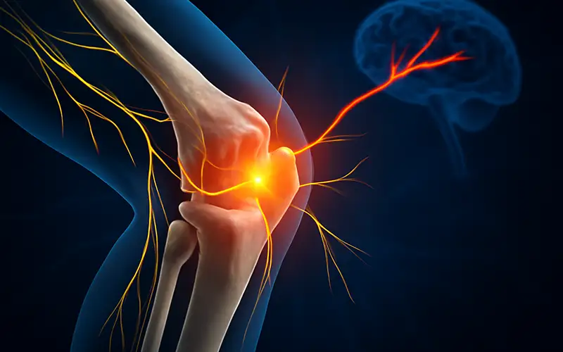 روش‌های بی‌درد کردن پایانه‌های عصبی مفصل